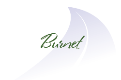 Burnet_02