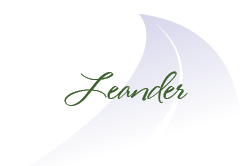Leander_02